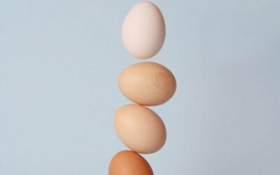 Quelle juridiction pour l’aide sociale ?